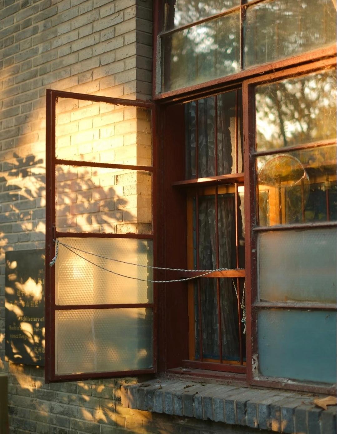 奔赴新程，年年向暖 …