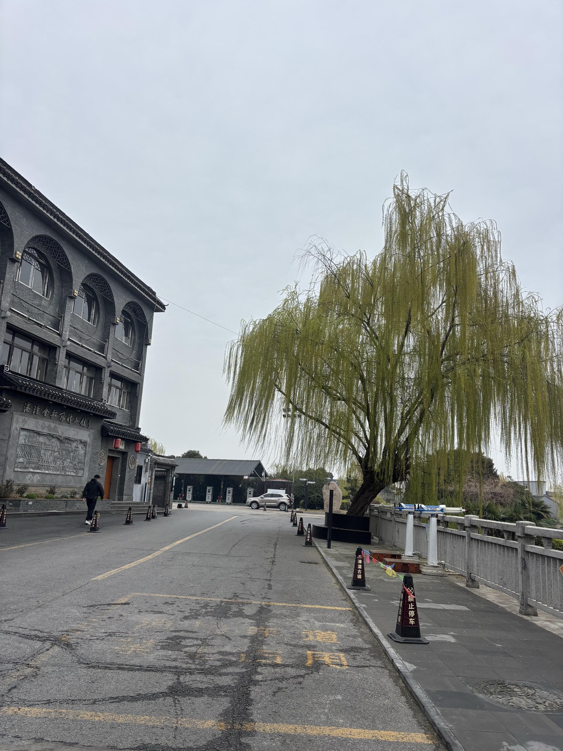遗憾吗？一晃又到一年清明节有的人再见，有的人再也不见，人间面，见一面少...
