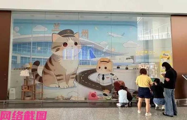 兰州某机场内现有一家三口的狸花猫咪家族，全家生活在机场安置玻璃墙的猫舍内，起居皆