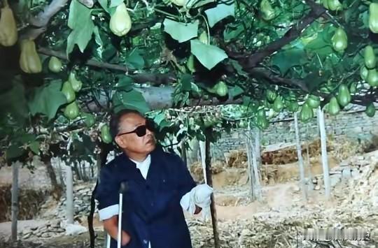 长津湖17岁战士被美军补刀划腹，醒后所见一幕，让他硬撑着活了下来
 
1950年