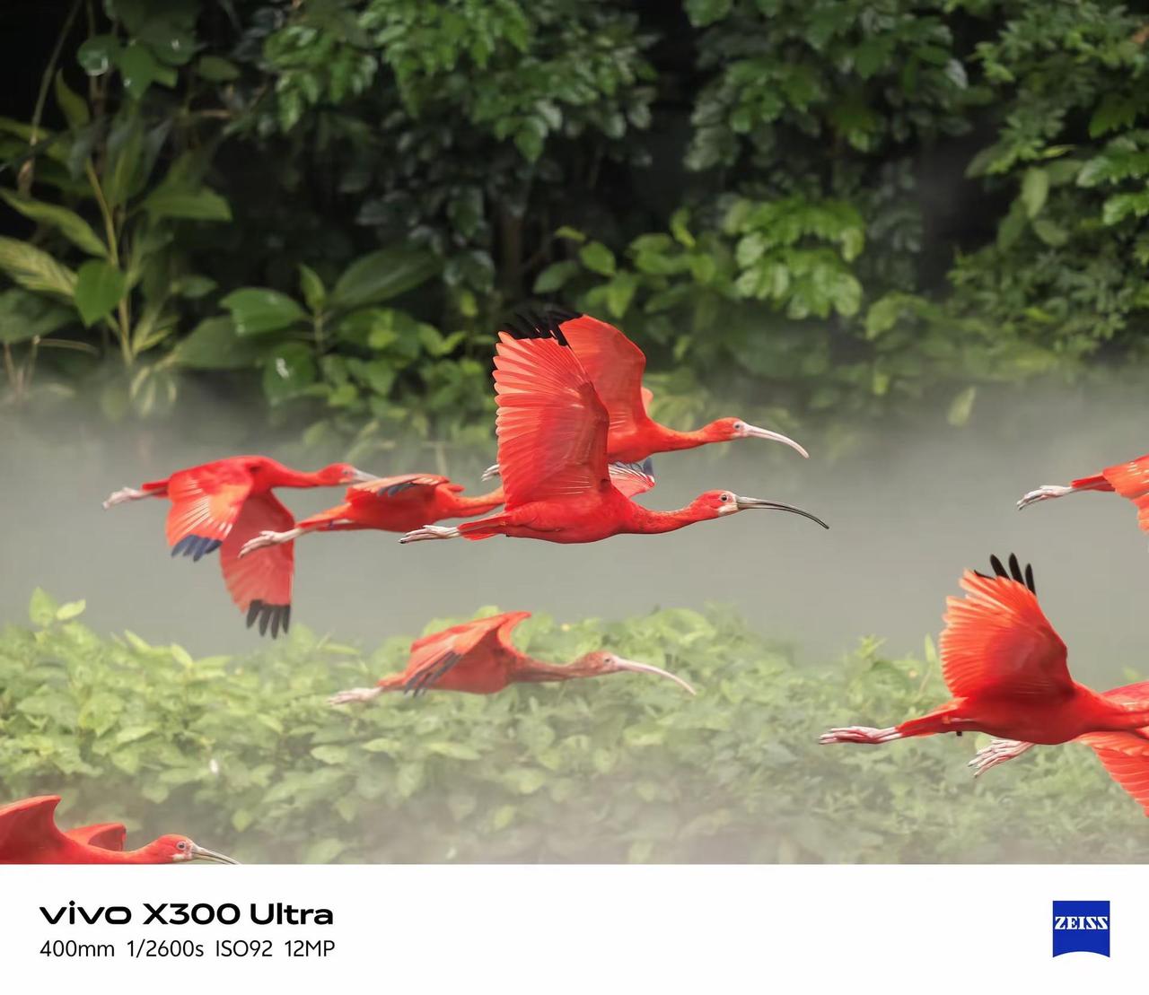 vivo X300 Ultra 轻松打鸟。