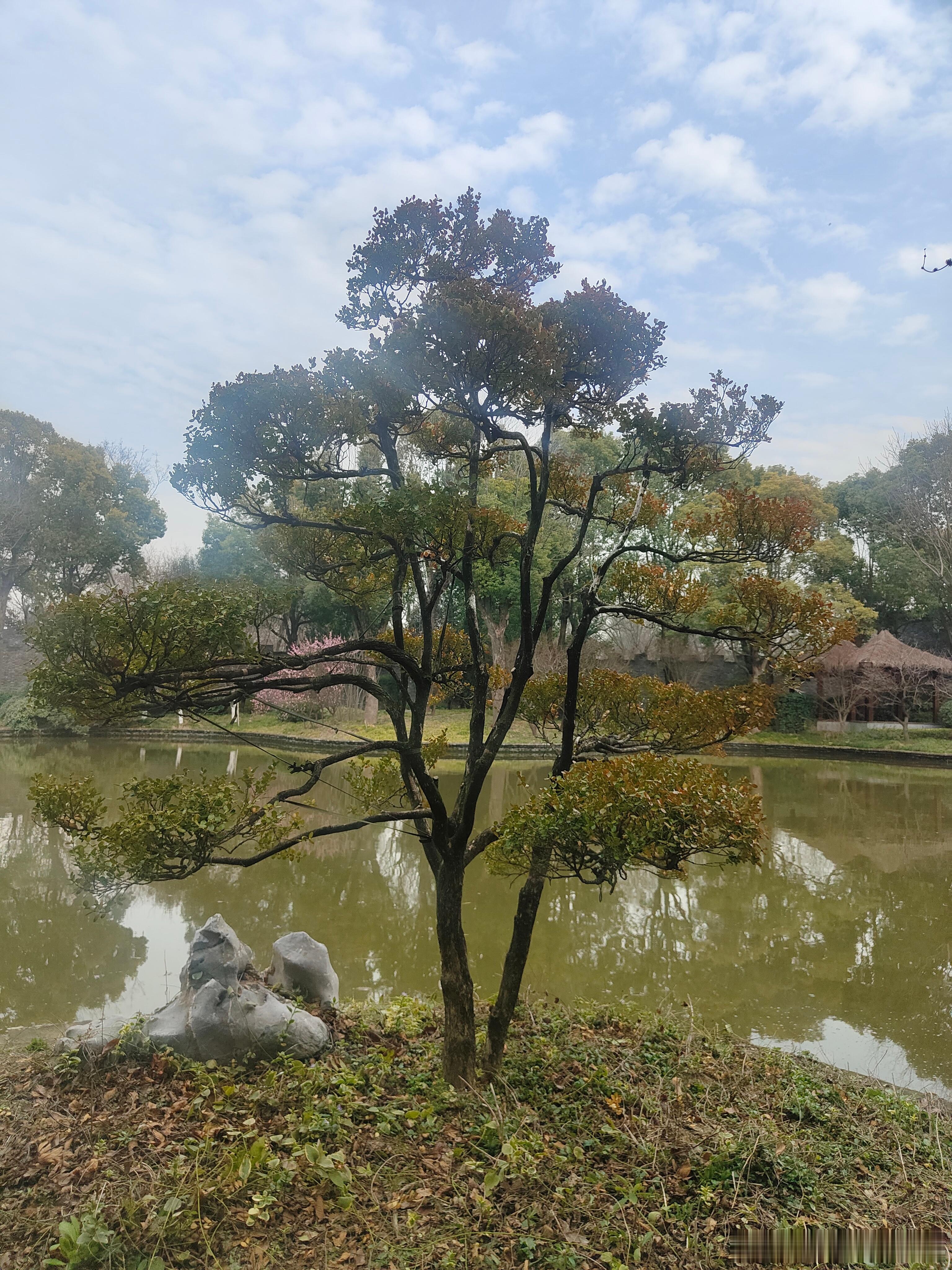 每日一善 忙碌是一种幸福，让我们没时间体会痛苦；奔波是一种快乐，让我们真实地感受