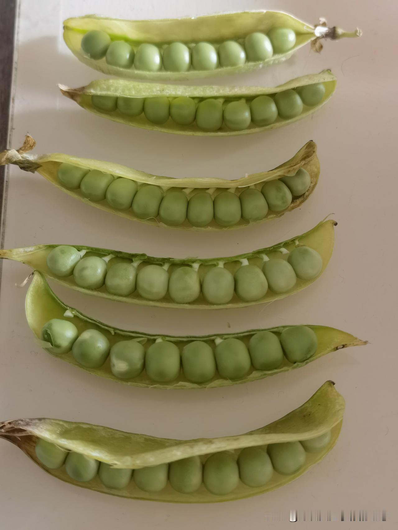 生活中不易察觉的经典一瞥[星星眼][打脸]

       今天是周末，早上吃完