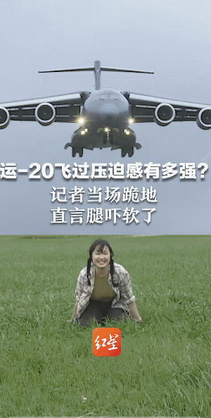 果然是“胖妞”。
一架大胖妞吓坏了另一个小胖妞。胖妞看胖妞，胖妞把胖妞的腿都“吓