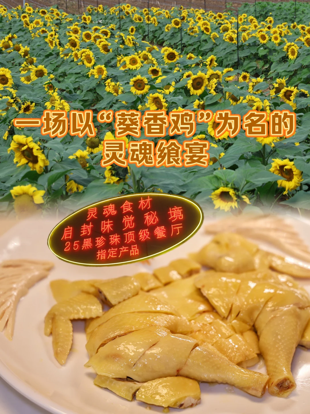 🌻 一场以“葵香鸡”为名的灵魂飨宴
