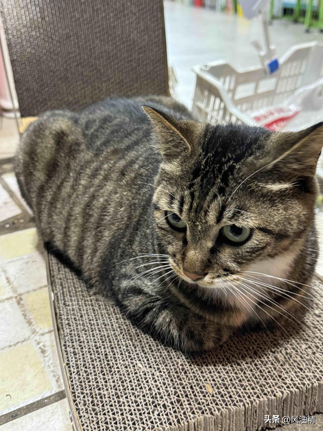 大家爱拍照打卡，其实从来不是为了那张照片本身，而是想留住当下那一刻的自己。
记录