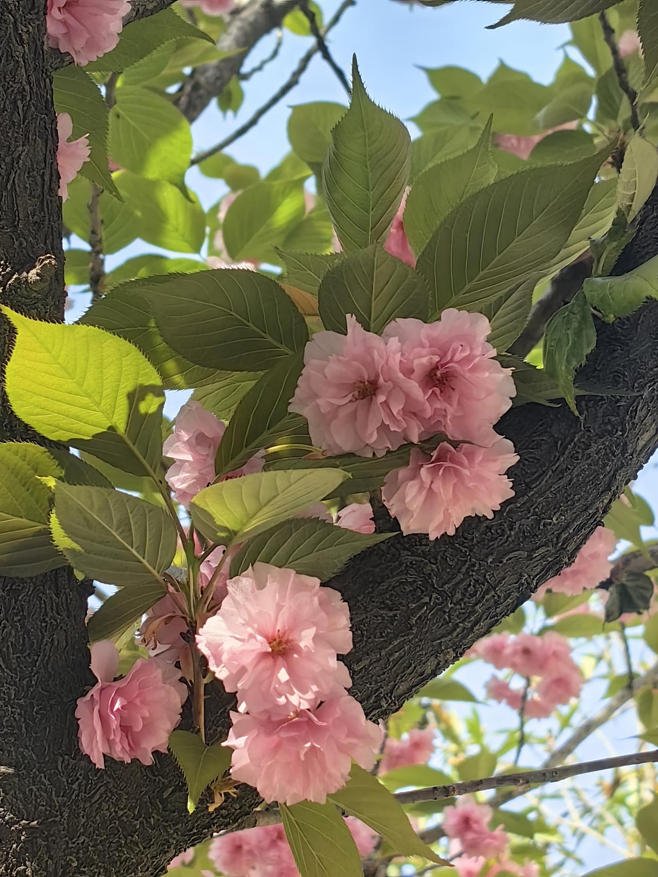 一个人这一生，到底要经历多少苦难啊？
 
我们单位有位同事，今年已经四十多岁了。