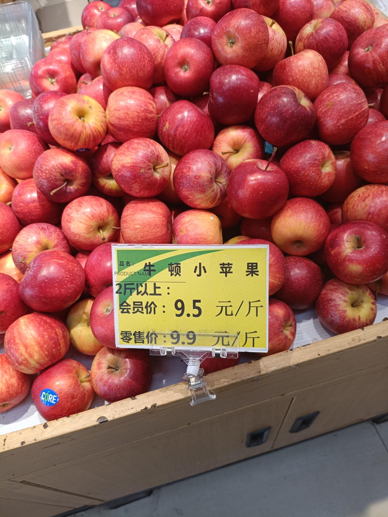 看到超市里买“牛顿小苹果”，马上联想到的就是：几百年前牛顿在苹果树下，由苹果🍎