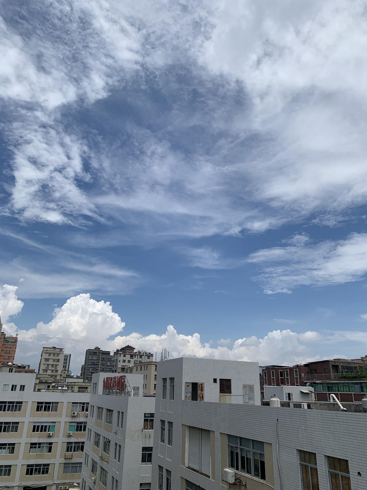 广东没有秋天，雨过天晴又是娇阳似火，虽然天气很热，但是汕头的绿化工程做得真不错，