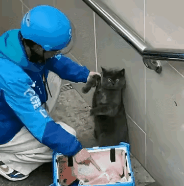 “这个外卖小哥火了！”一外卖小哥外出送餐时，把车停在了楼梯口。等他回来的时候，却