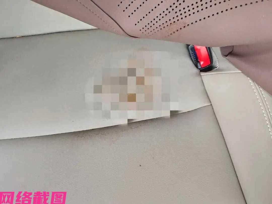 有男子自驾从山东返程中，还带着顺风车的乘客，只是这过程发生一幕让男子呕心的事。