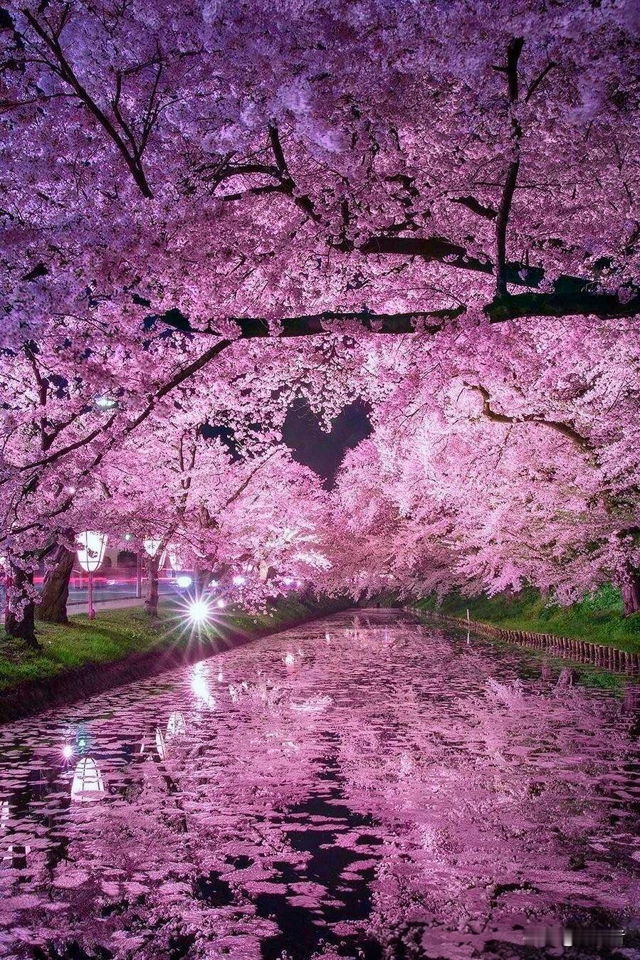 日本顶流樱花景“花筏”到底有多绝？很多人知道樱花，却不知道樱花还有种绝美景象叫花