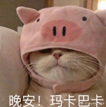 小长假过的好快。明天继续当牛马。期待周末的旅行。晚安晚安。 