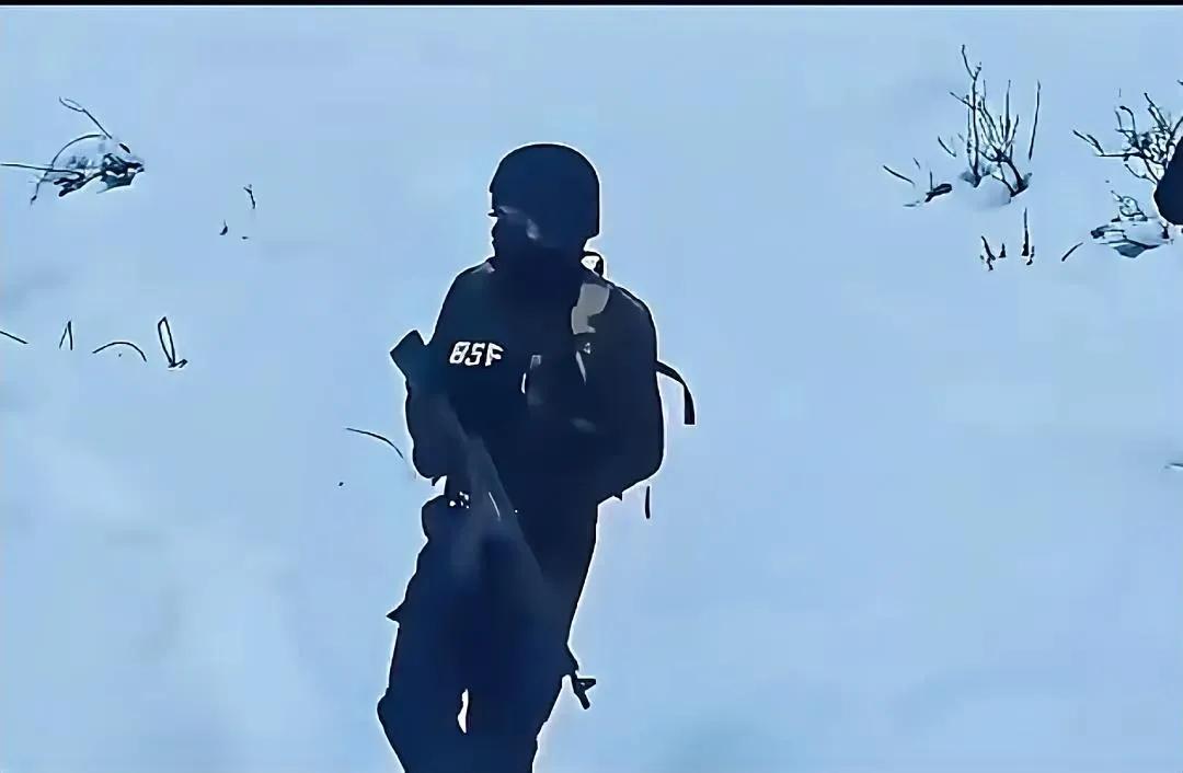 日记
 
印度雪地迷彩服翻车现场！网友：雪地里最亮的仔，敌军笑醒
 
印度边防部