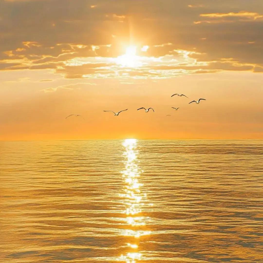 今年感觉一眨眼就到年底了，去年许的愿望还没完成，2026年就要到了，难道要跟去年