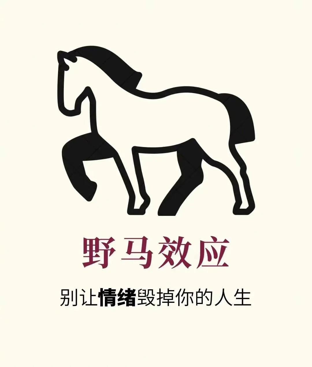 『心理学小知识』野马效应：别让情绪毁掉你的人生 ​​​[笑哭][来看我]#每日分