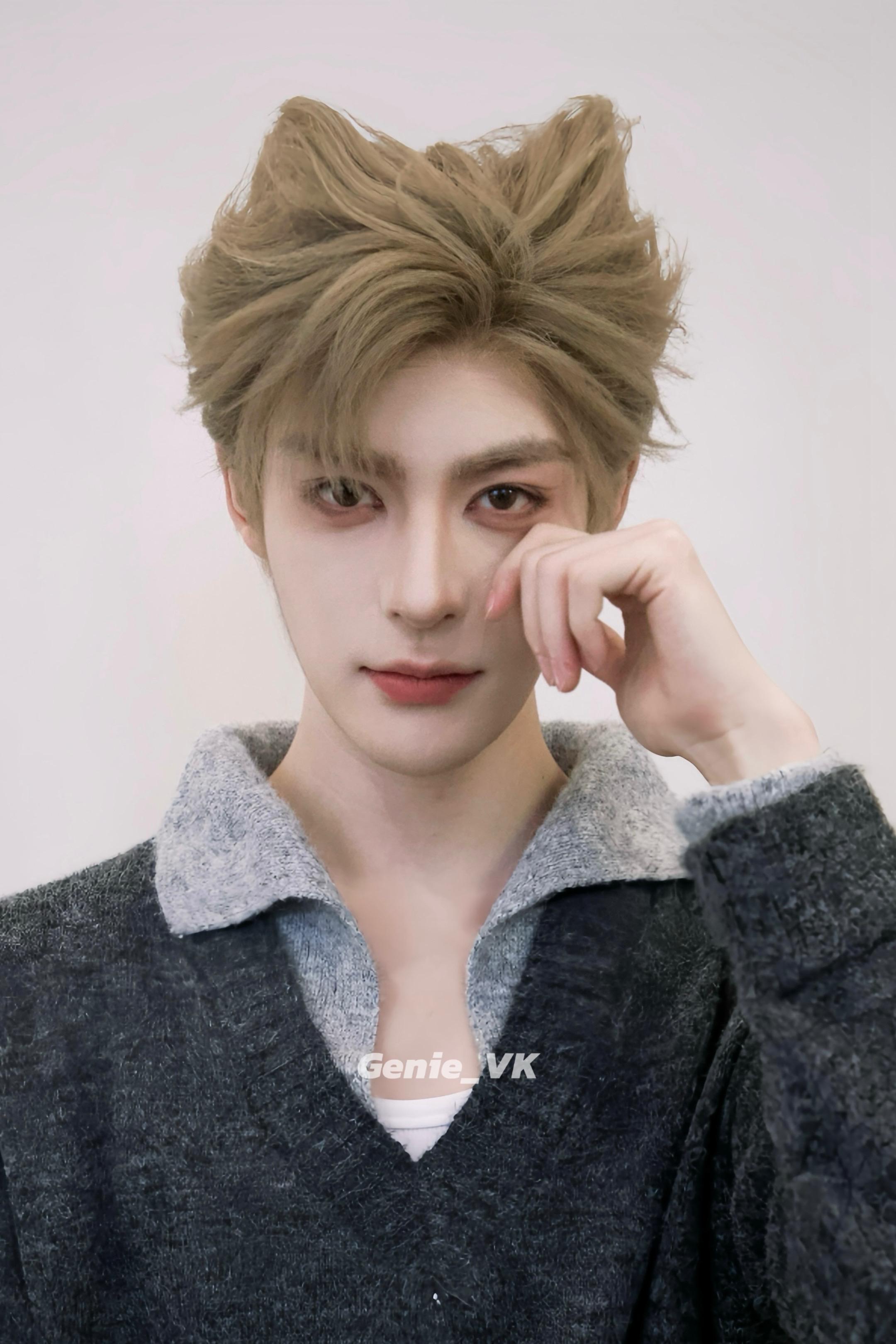 做我的猫🐈。【251130】宝藏绿洲一日店长 给咪拍的猫猫证件照🥺...