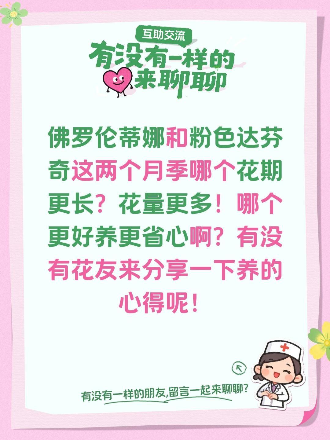 佛罗伦蒂娜和粉色达芬奇怎么选？佛罗伦蒂娜和粉色达芬奇这两个月季哪个花期更长？花量