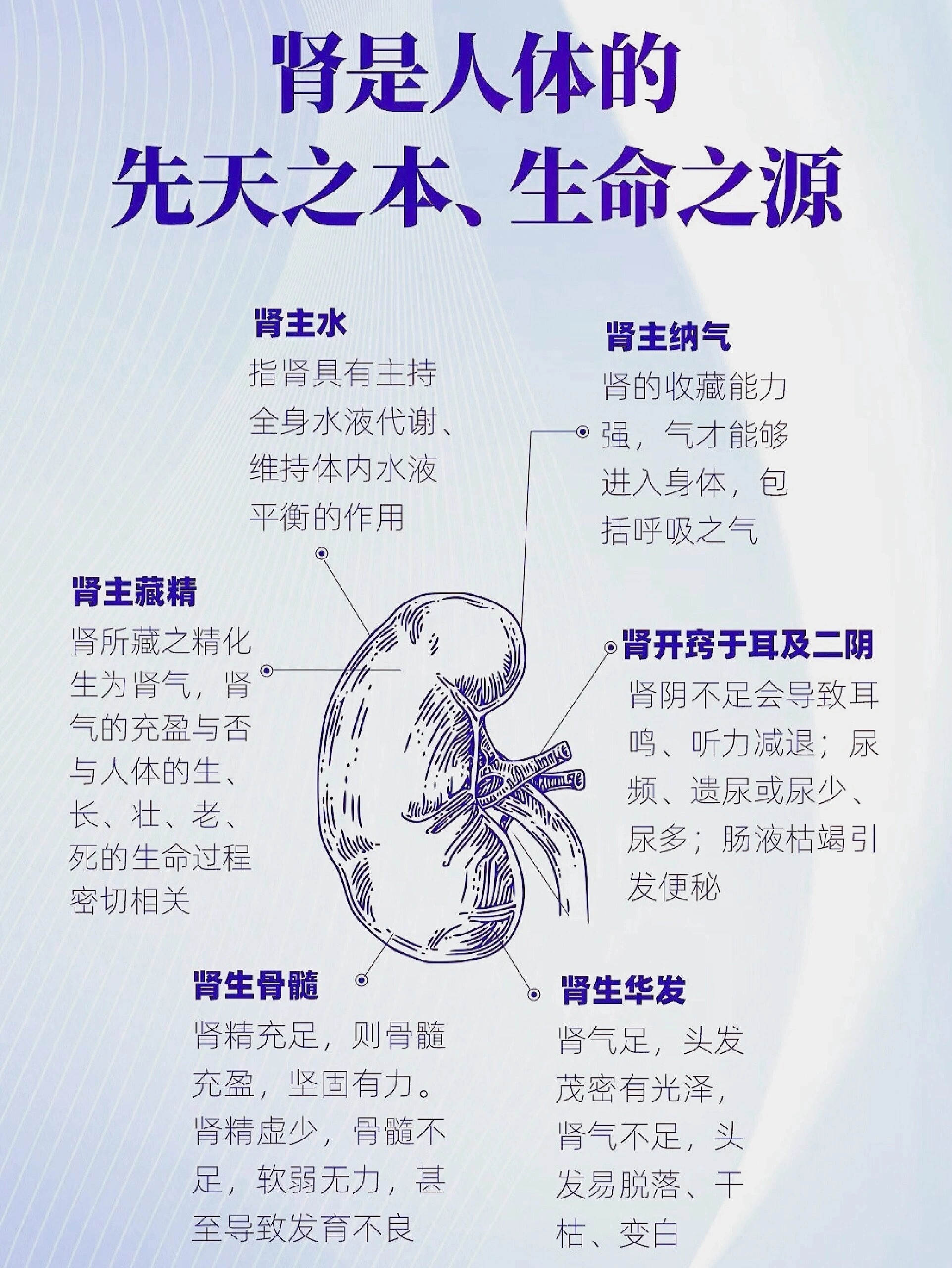 中医养生：养肾肾好不好，看这些信号有没有？🍀1、感觉口咸。咸味入肾，口咸伴有口