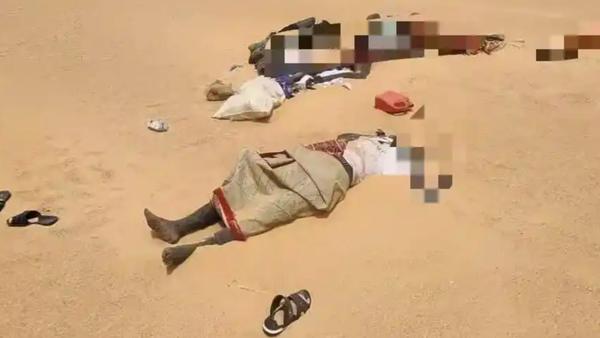 撒哈拉沙漠惨剧！卡车抛锚致49人渴死，仅2人徒步求生获救
 
当地时间4日晚，非