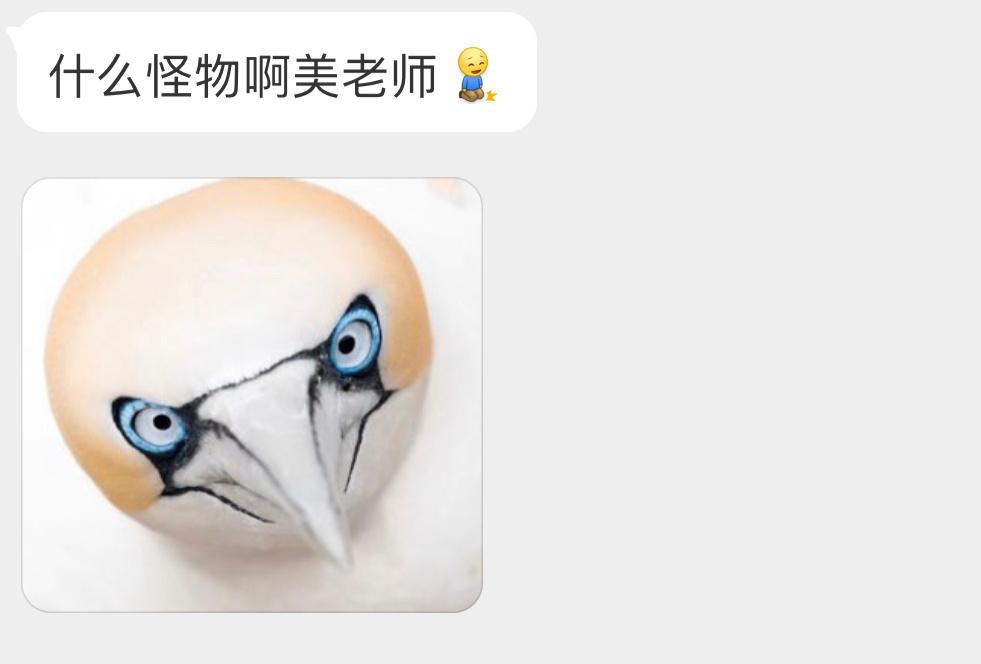 怼着脸拍🙊鲣鸟看了想打人 ​​​