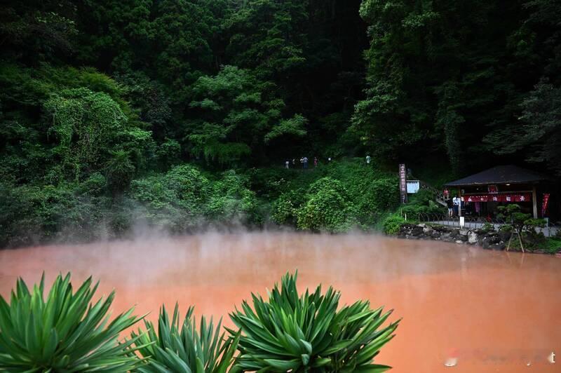 【日本岩手县温泉旅馆员工遭熊袭身亡 遗体残缺 山林中发现成年熊被扑杀】海外新鲜事