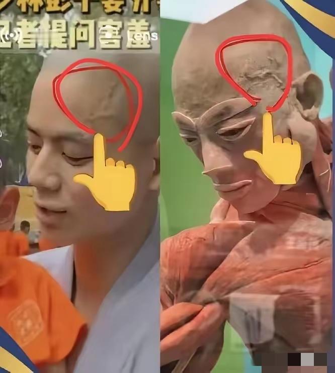 刷到张博物馆展品图
第一眼就吓一跳
有人把它和秋风师傅放一起对比，不看不知道，动