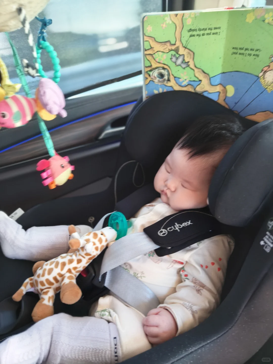 谁家小孩这么爱出去玩！