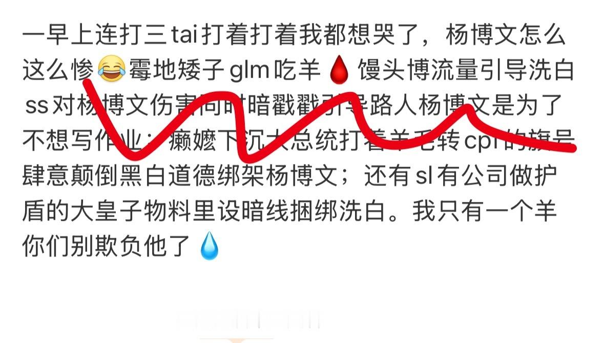 我只有一个羊，你们别再欺负他了💧 