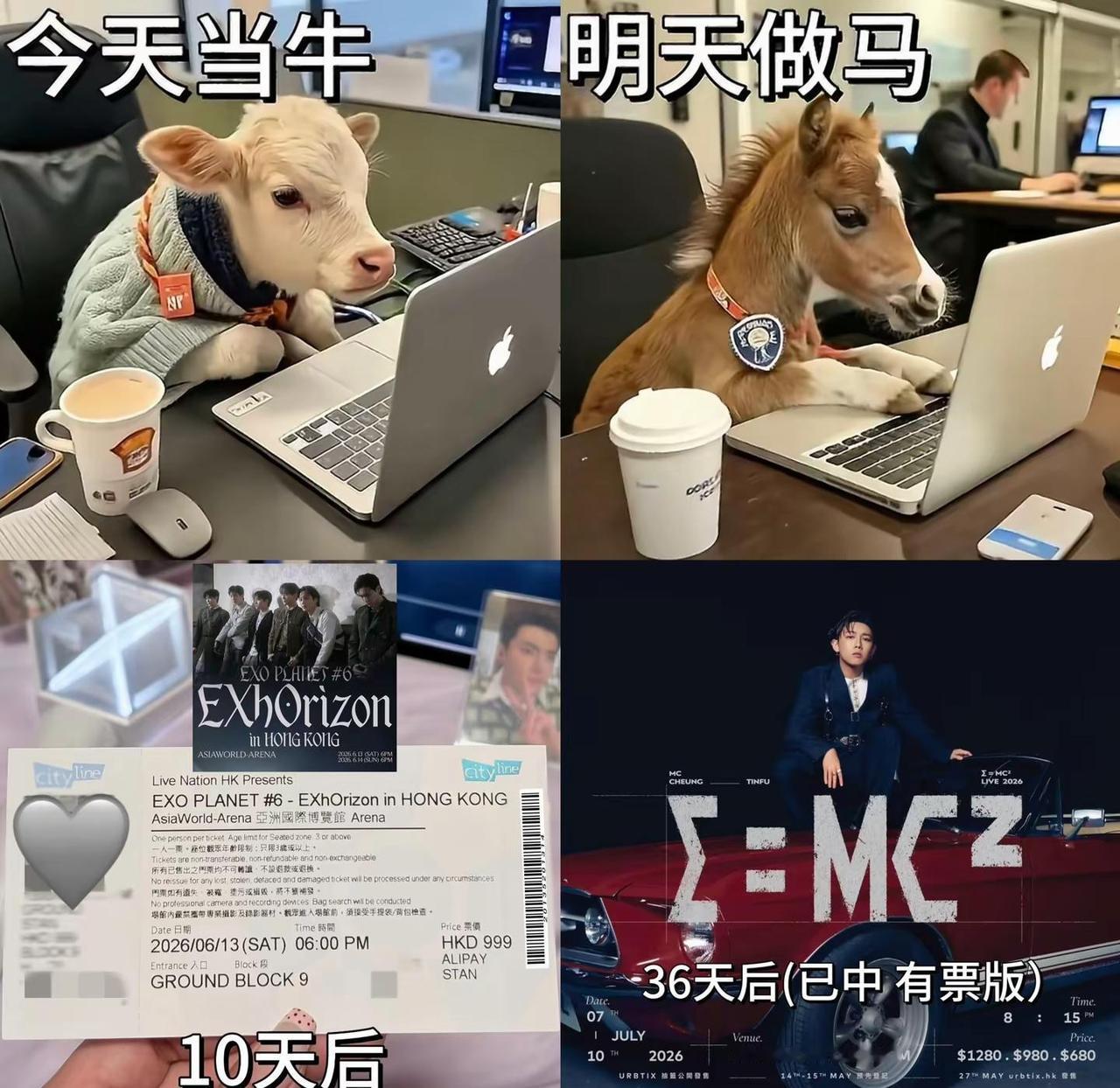 这日子真的是越来越有盼头🥳。exo香港演唱会 exo六巡