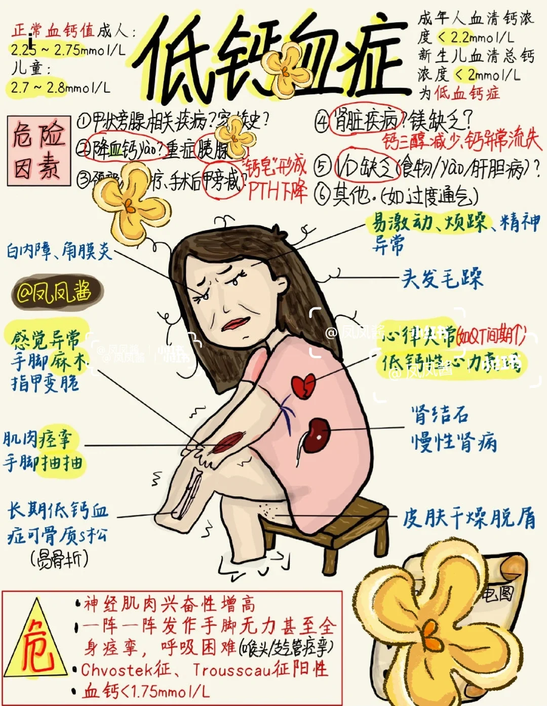 📚 手绘笔记 ｜ 低钙血症 建议点赞收藏