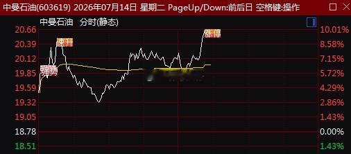 午后油气板块延续强势，$中曼石油 sh603619$ 封涨停，$通源石油 sz3