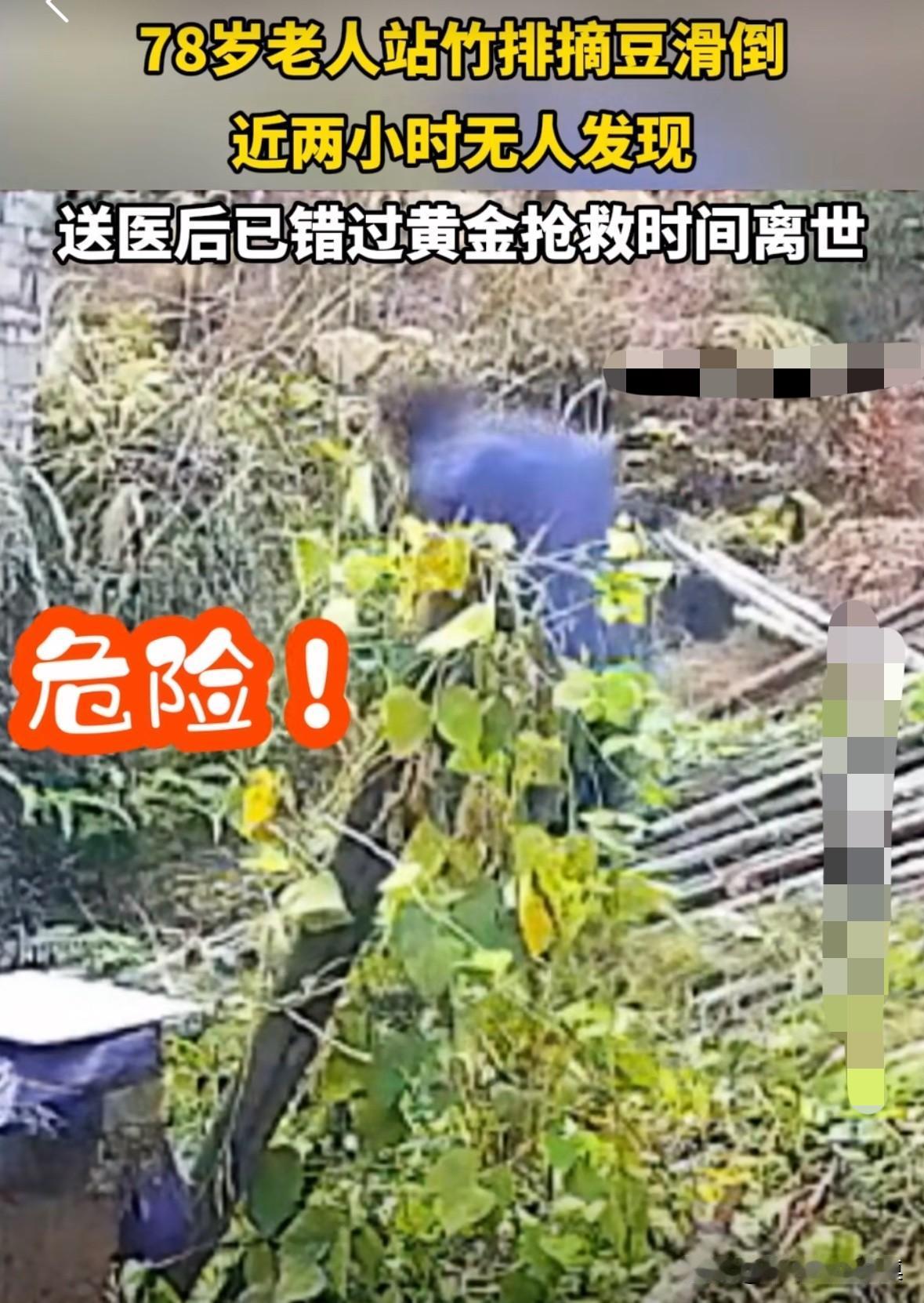 78岁老人去菜地里摘豆角，不慎滑倒，近两个小时没人发现，家人送医院途中已经离世。