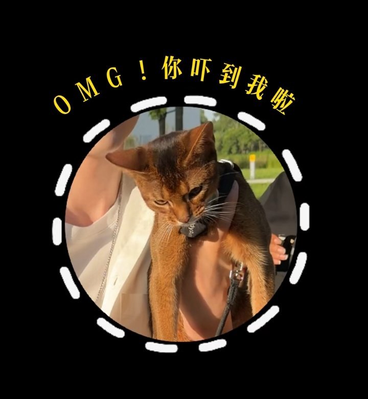 阿骨打：我爸咋这样。 