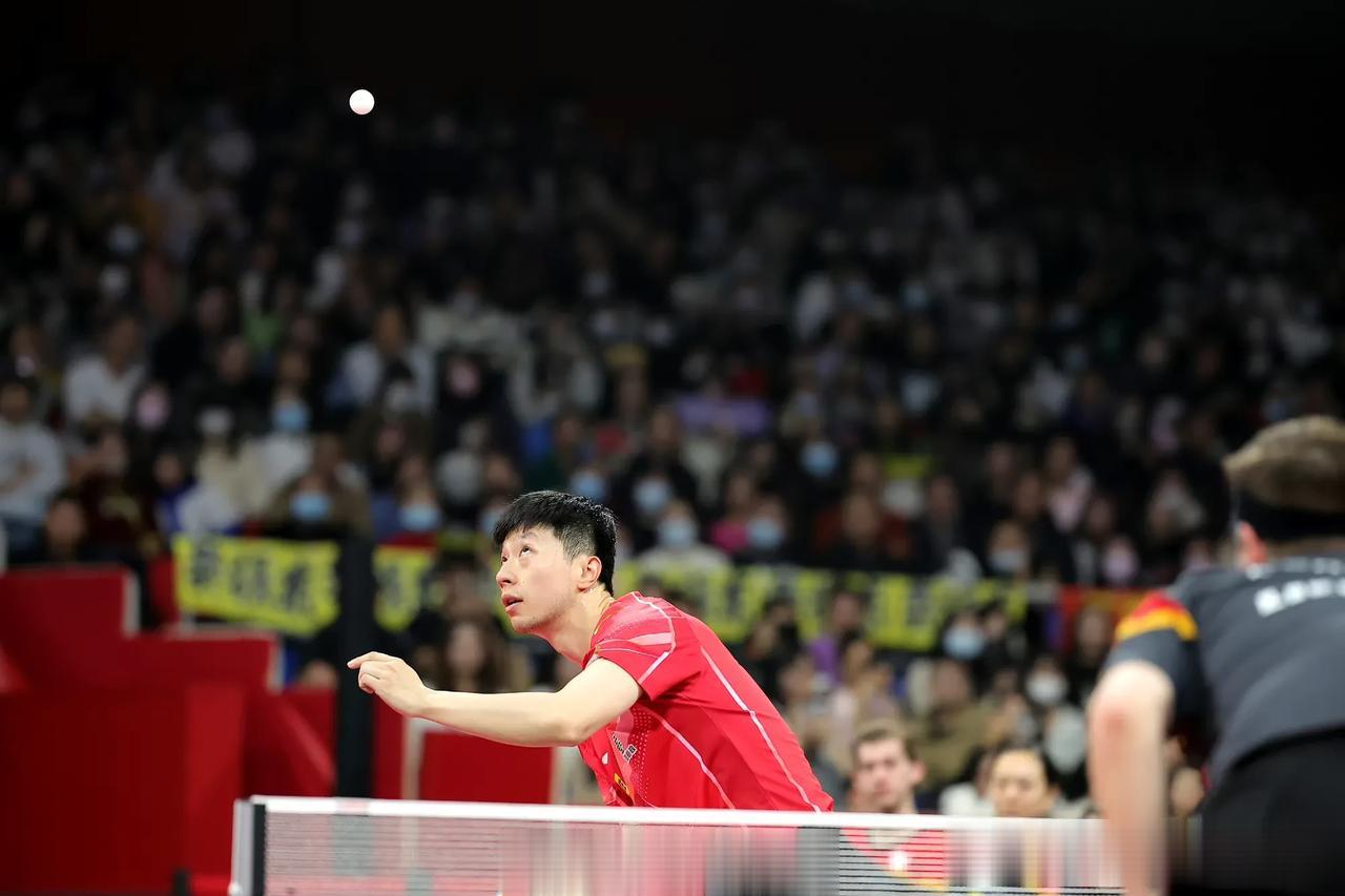 马龙横扫周启豪
乒超联赛男团决赛：
山东鲁能2-0山东魏桥
第二盘：马龙3-0周