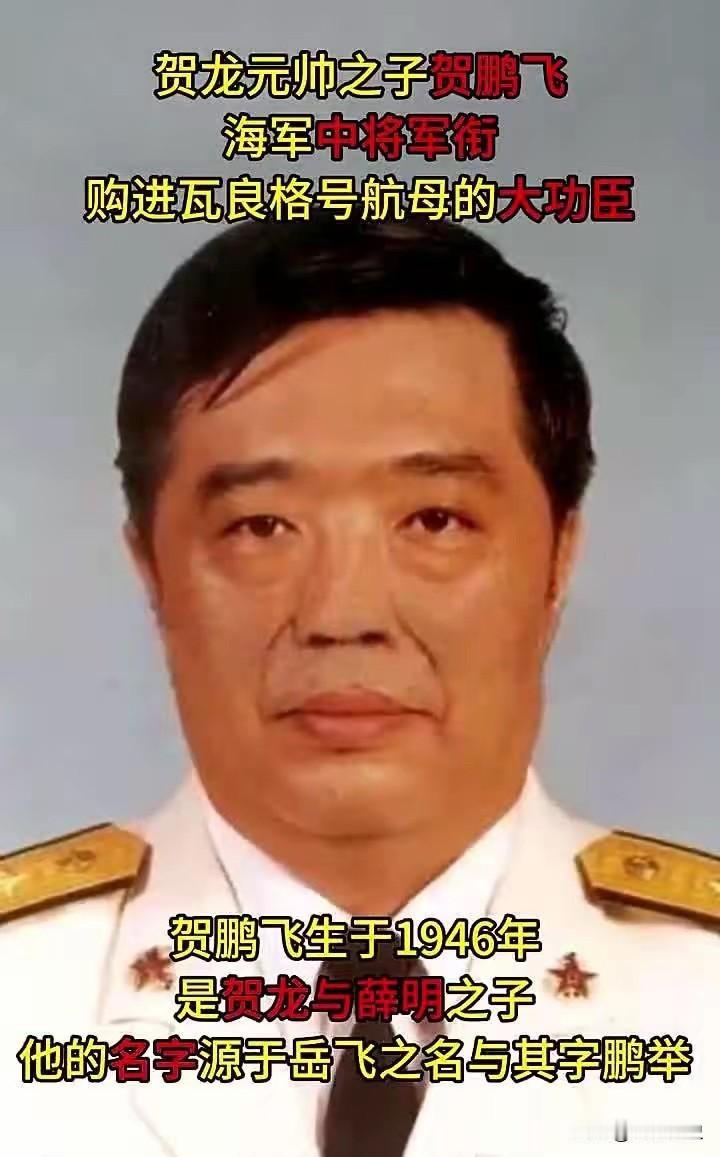 2001年，贺龙元帅之子贺鹏飞，突发心脏病猝然离世。葬礼上，85岁的母亲薛明，盯