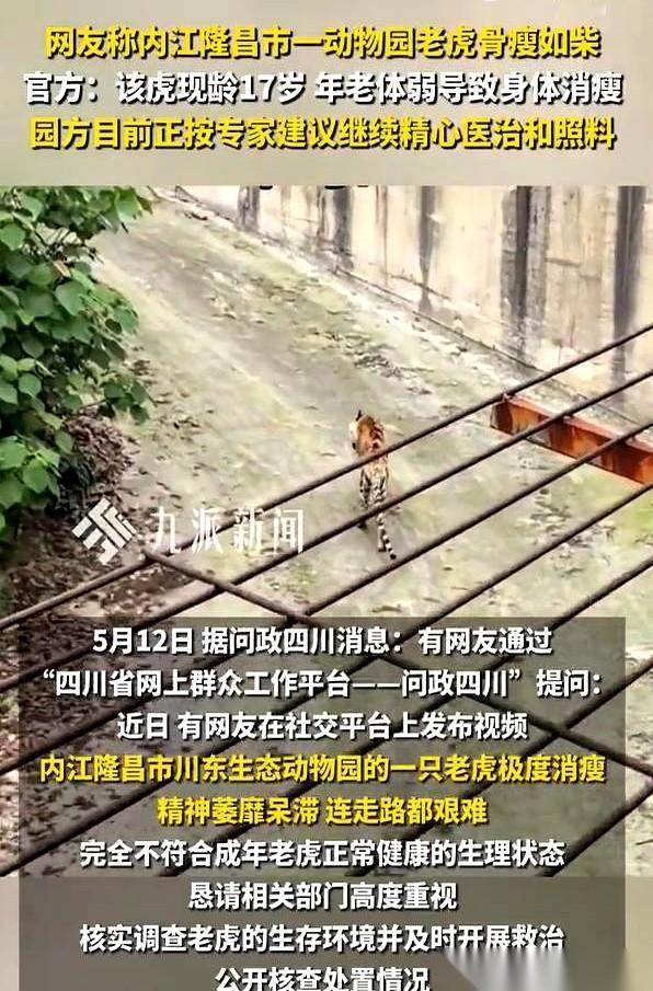 手机屏幕上，一段来自内江隆昌动物园的视频，像根针一样扎进所有人的眼睛。
镜头里没
