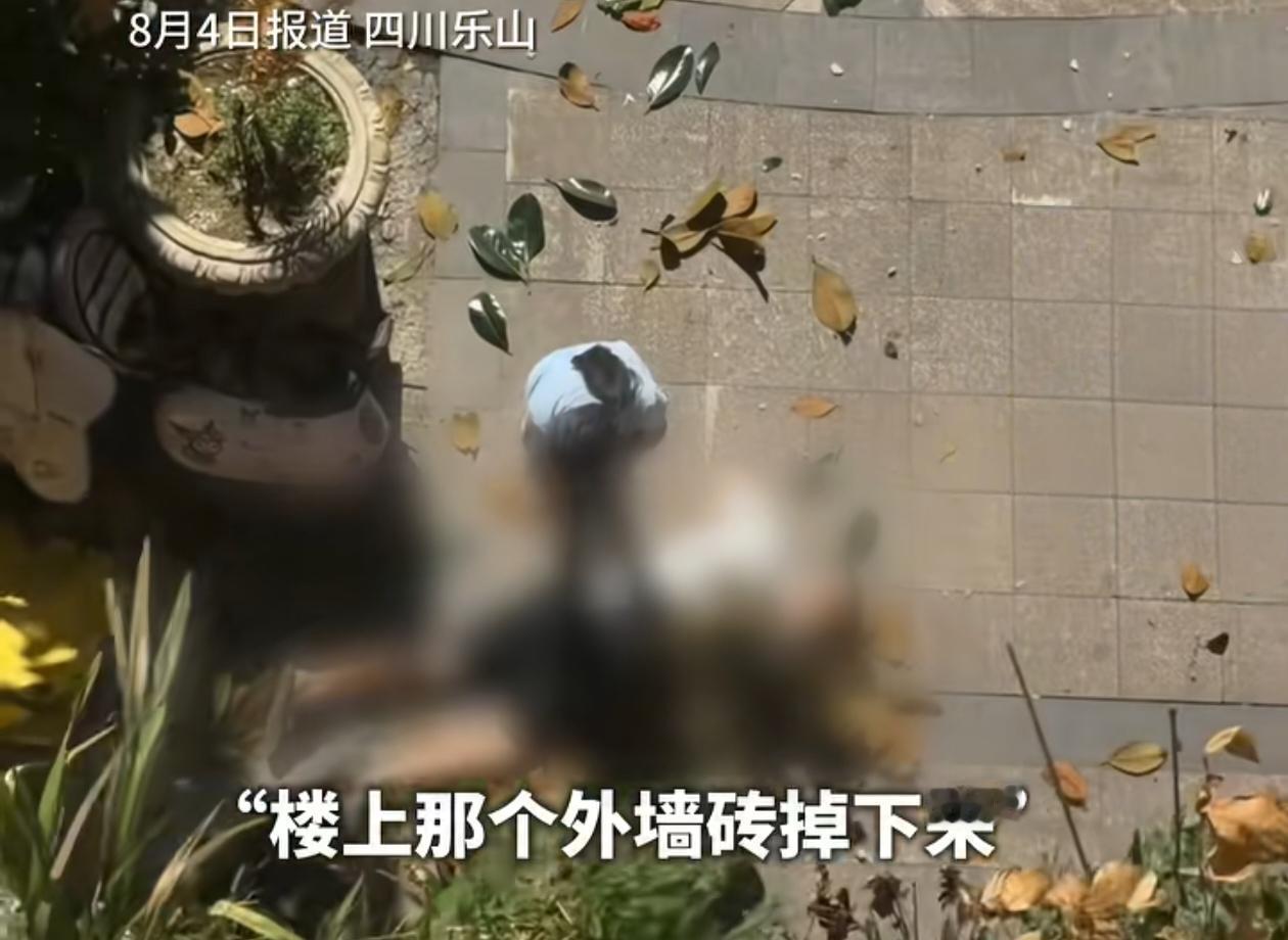 8月3日，四川乐山天和大院小区4栋2单元发生外墙砖脱落事故。脱落墙砖砸中一名刚完