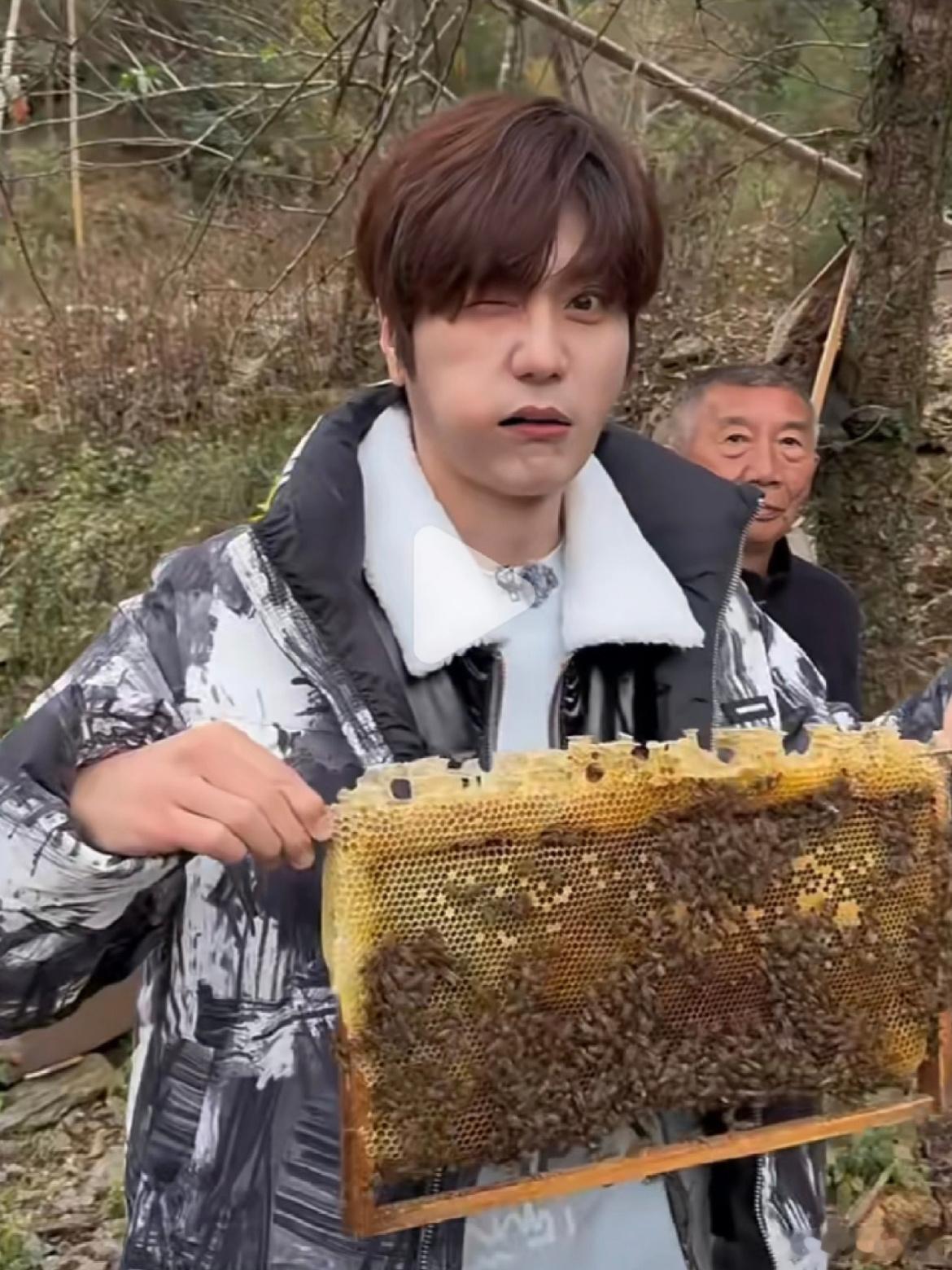 陆虎不愧是综艺嫡长子，这应该是被蜜蜂给蛰了吧，小可怜怪可爱的！ 