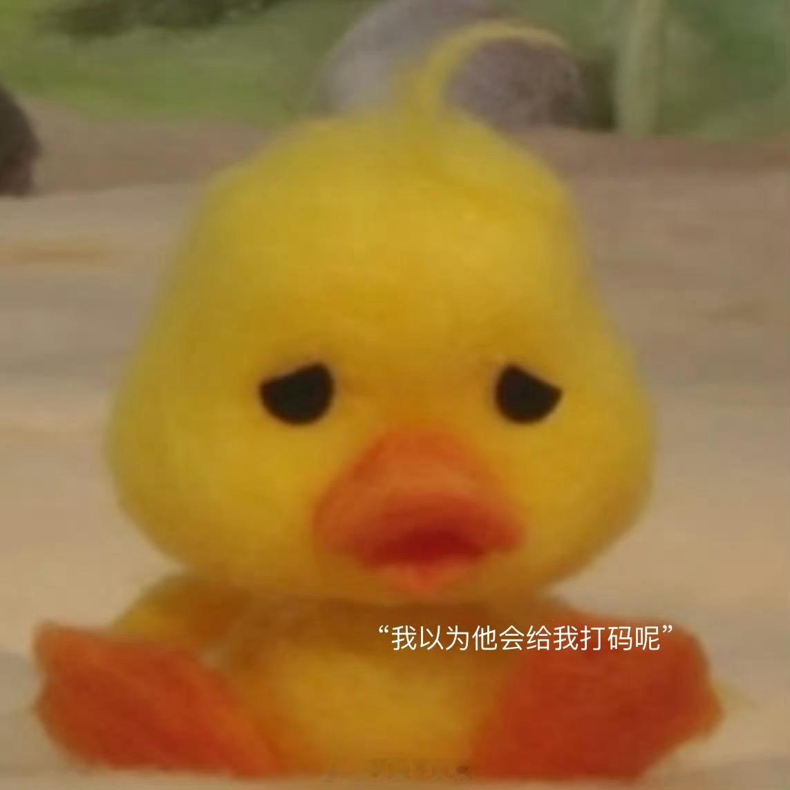 丁程鑫说以为会给我打码丁程鑫好久没吃好吃的了 何老师这“冲浪速度”绝了，连小丁游