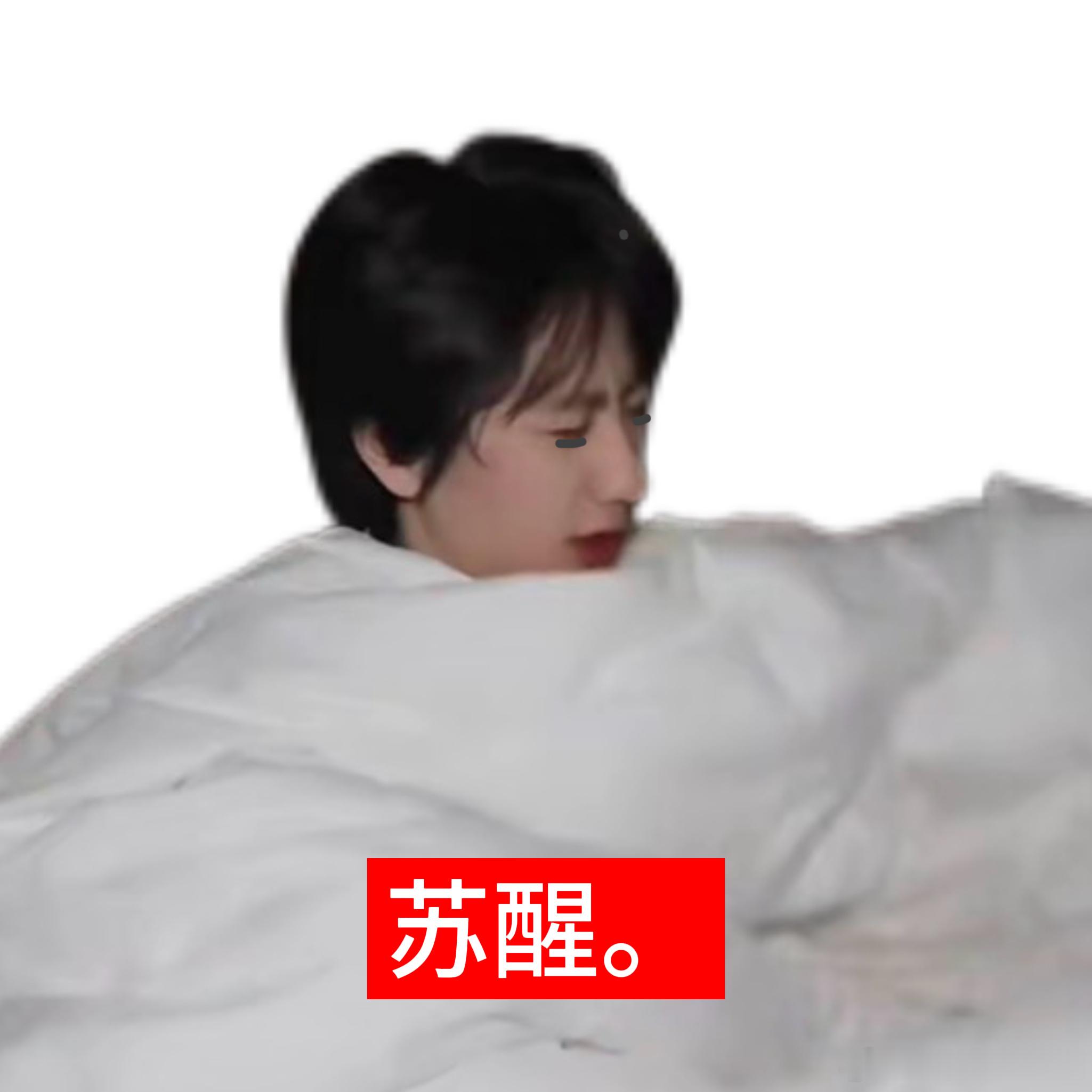 我想我会一直循环🔄起床→上班→吃饭→下班→睡觉 