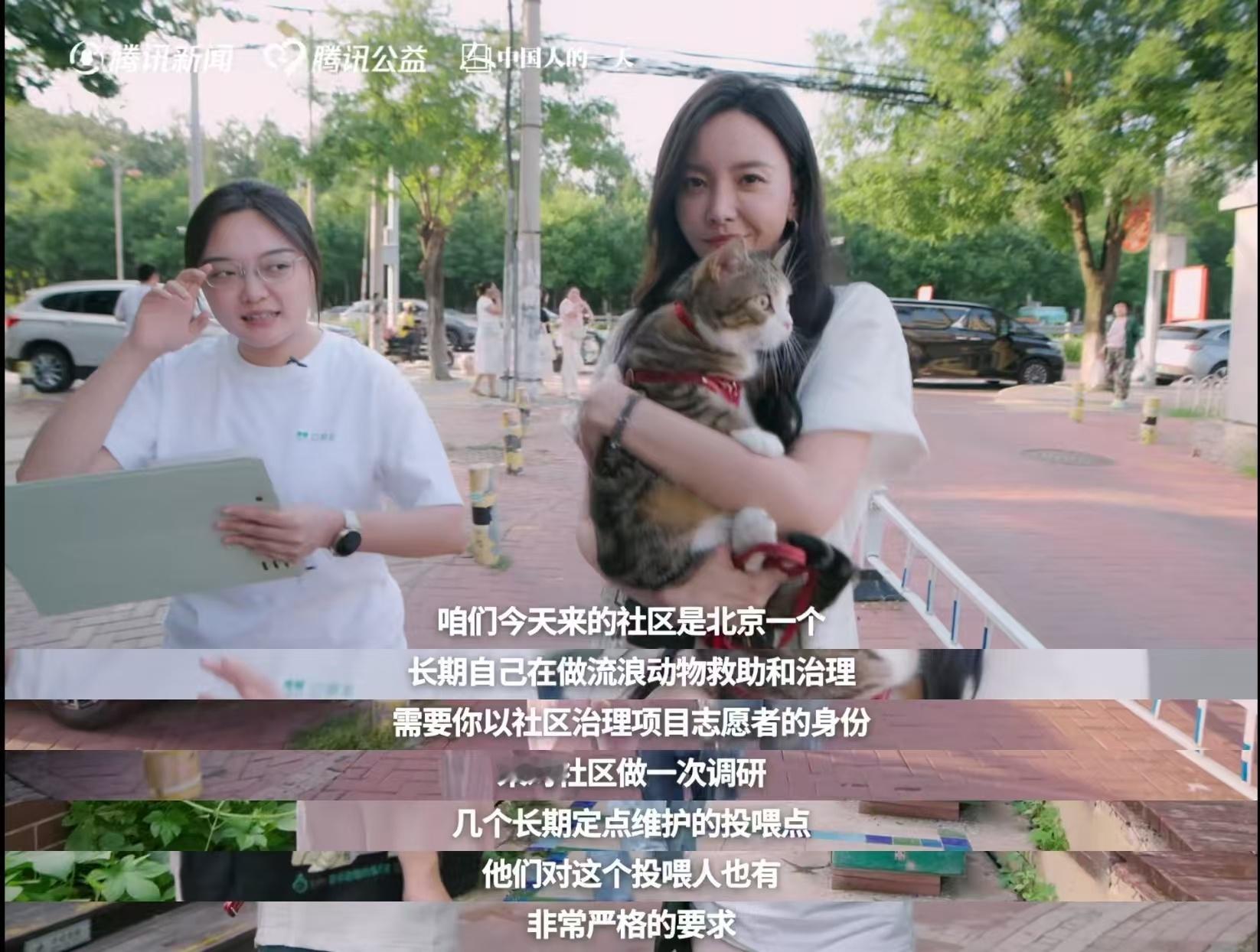 于文文呼吁不要残忍抛弃宠物 “你选择领养它的时候，是因为孤独；你抛弃它的时候，是