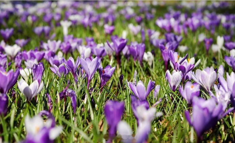 价值成长，永不过时今天A股整体走强，三大指数全线收涨。两市成交额达到26089亿