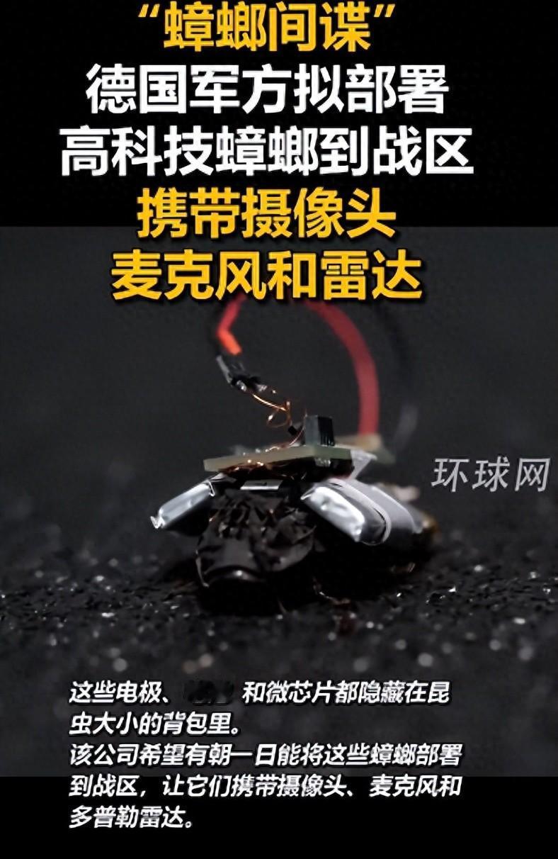 颠覆认知！德国将蟑螂改造成“战场间谍”，微型武器背后藏着伦理暗礁！

蟑螂不再是