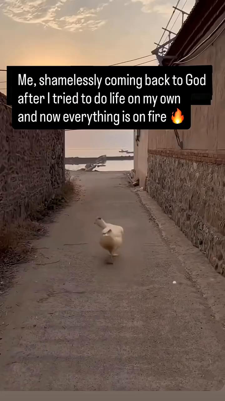 Me，shamelessly coming back to God after 