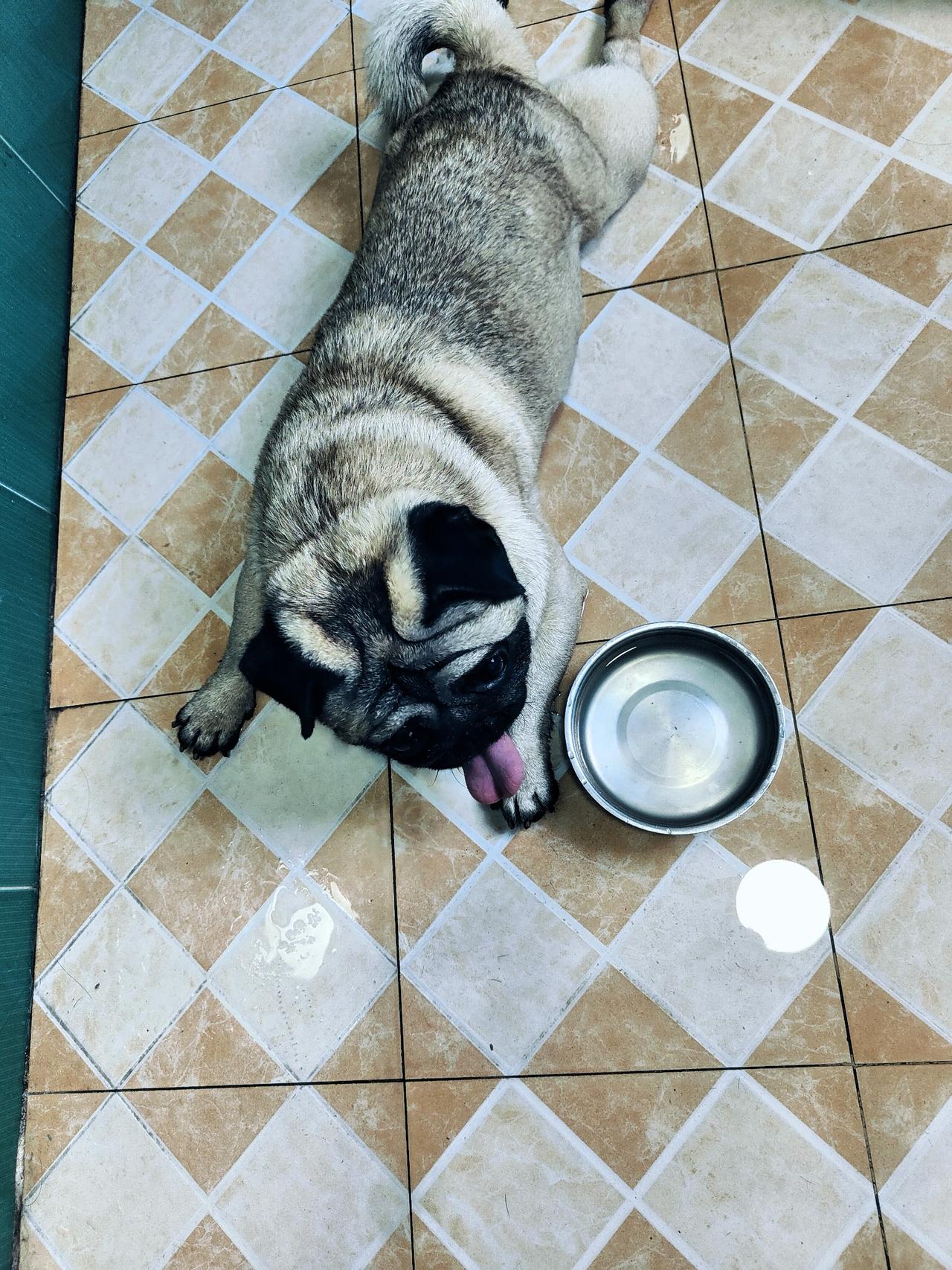 人工智能到底能不能取代人类？这事儿还真不好说。
从能力上看，人工智能在数据处理、