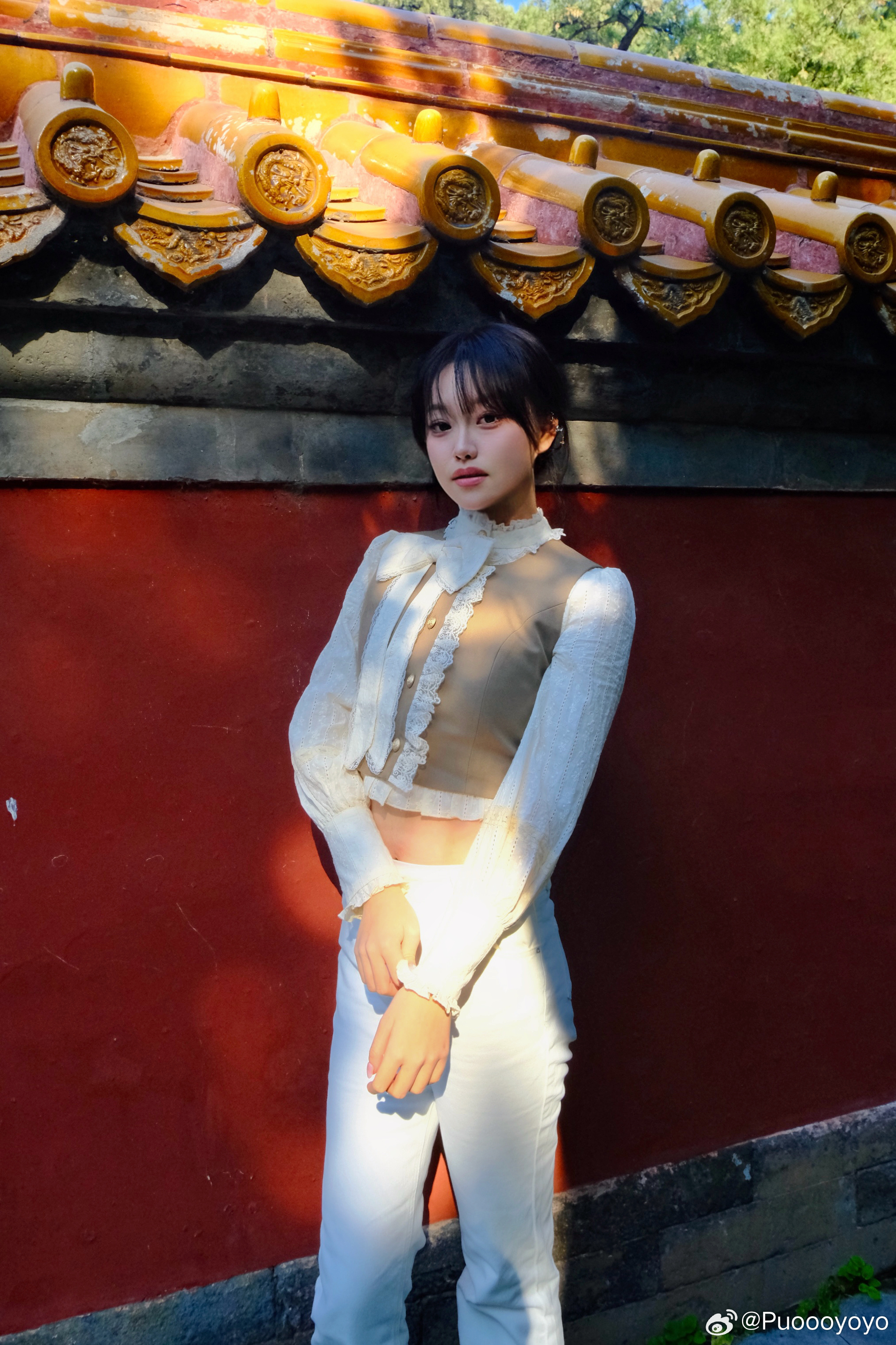 红墙树影  ​​​