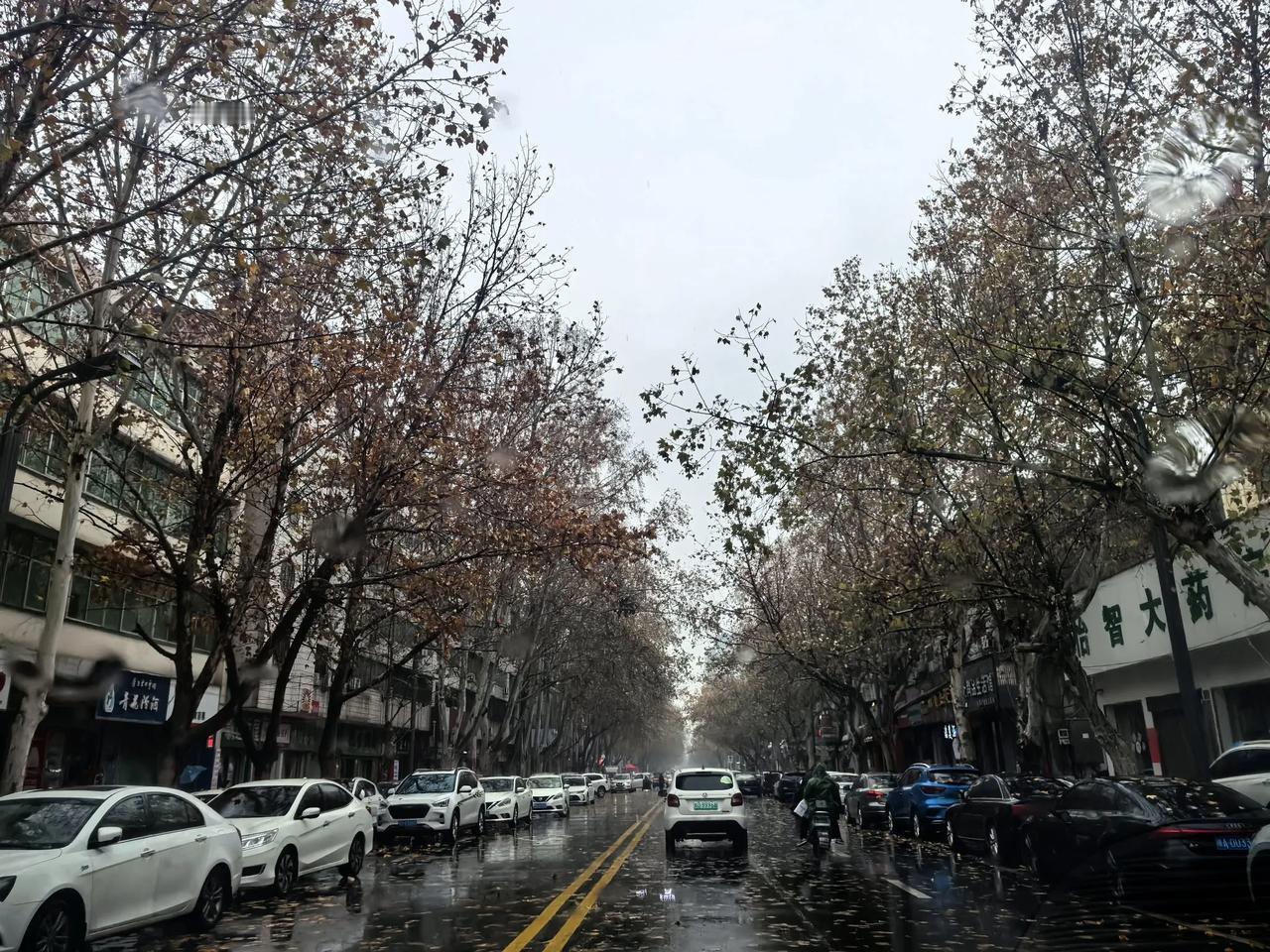 连续两天的冬雨，叶县大街上落叶🍂飞舞，年渐渐逼近，“有钱没钱，照样过年”。你说