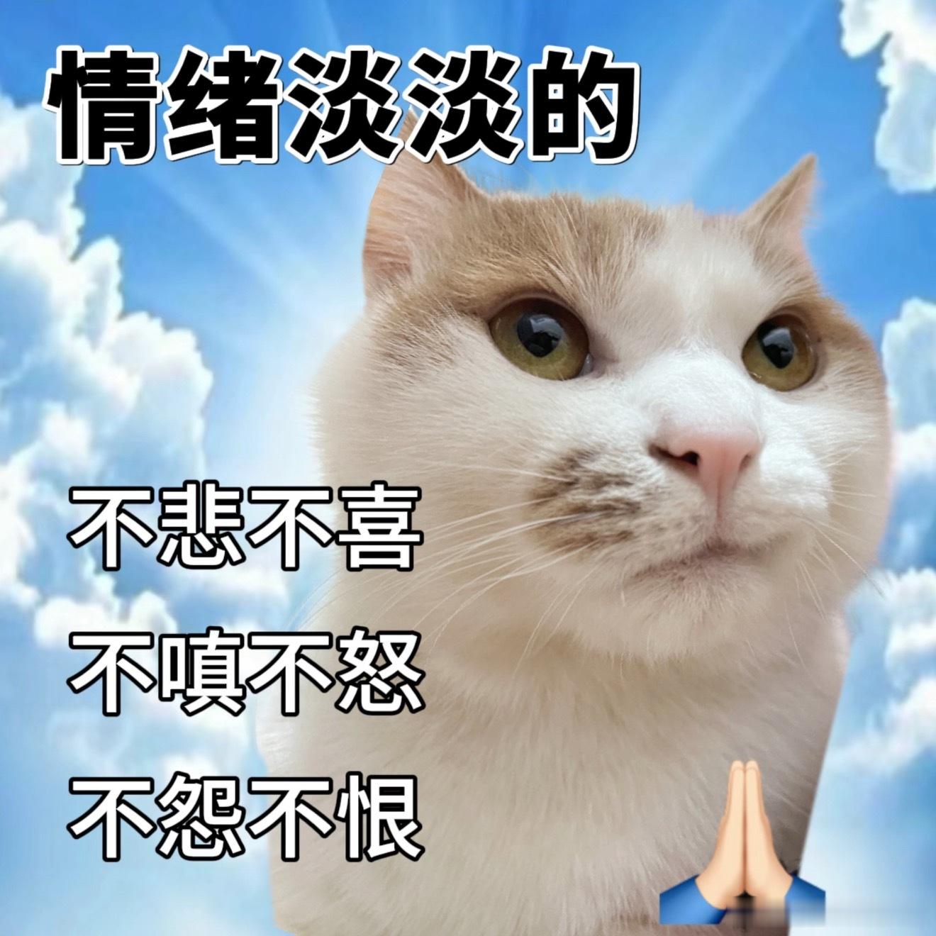 每个成年人都很忙，谁还会像小时候一样先发一顿脾气再去互相拉黑删除呢？没必要强行磨