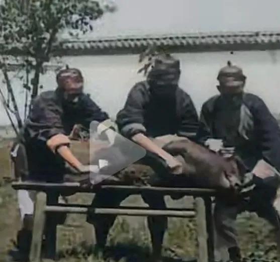 难得一见的清代杀猪过程！
第一张图：三个男人将一只黑猪按在一张案板上。
第二张图
